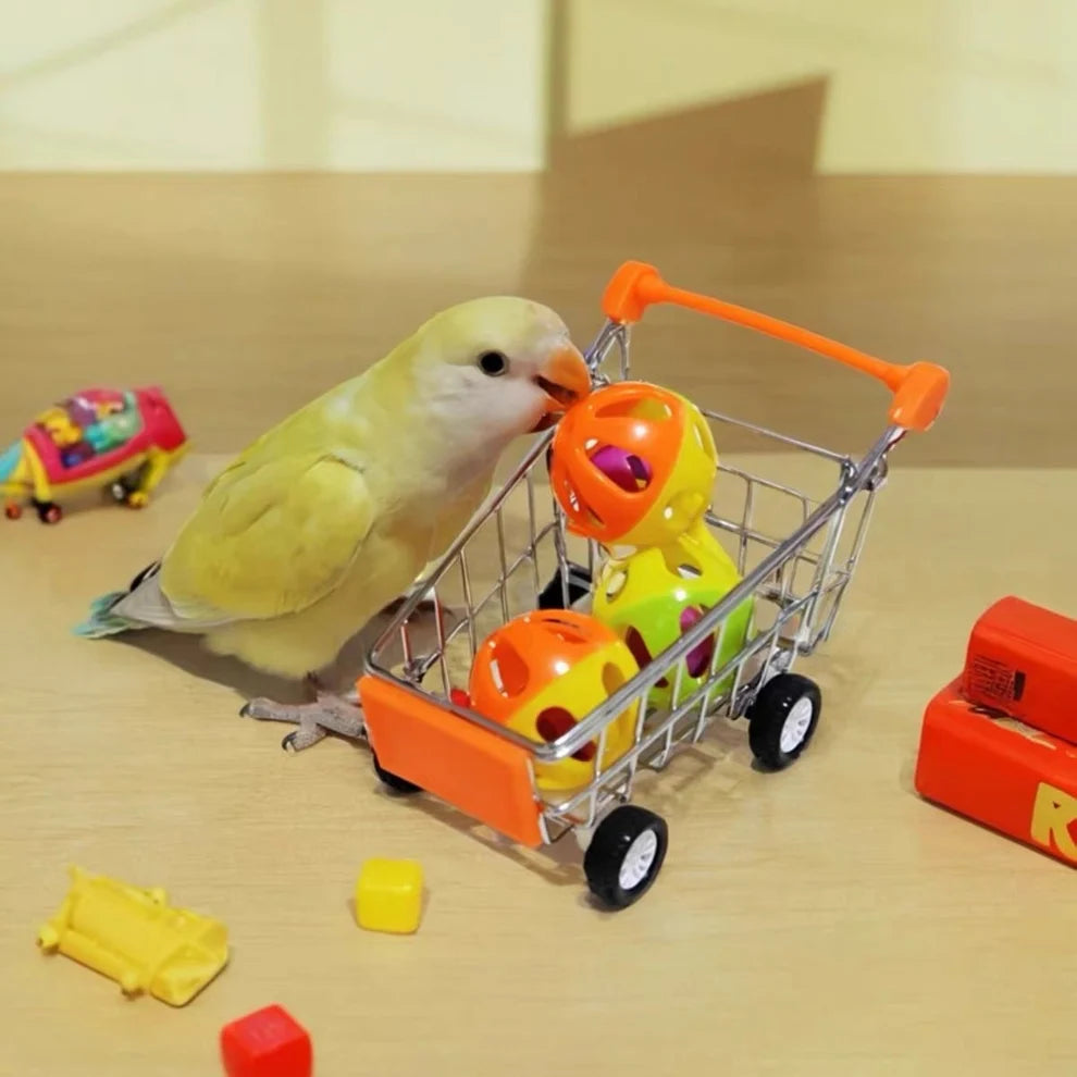 Parrot Training Toy Set with Mini Shopping Cart & Ball – image 4