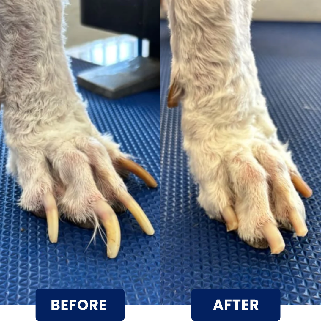 Before and after