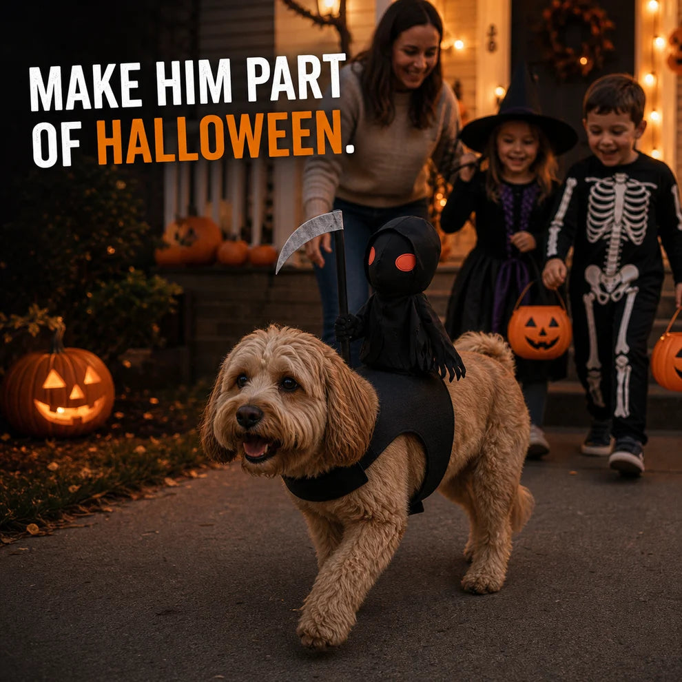 Scary Halloween Costume – Creepy Party Dress-Up Outfit – image 5