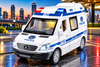 Glossy Police Van Toy Model