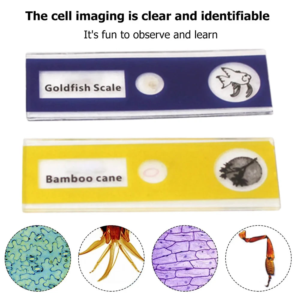 Pocket Microscope – Colour & Accessory Options